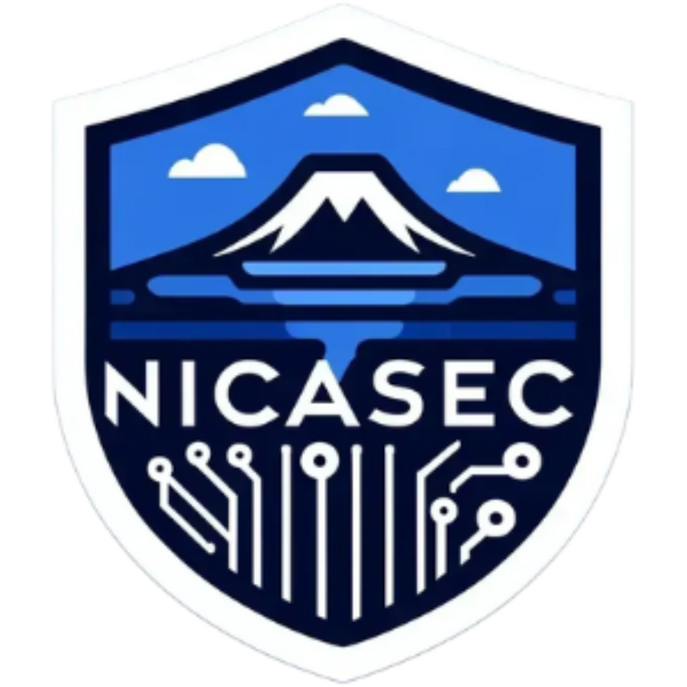 NicaSecurity